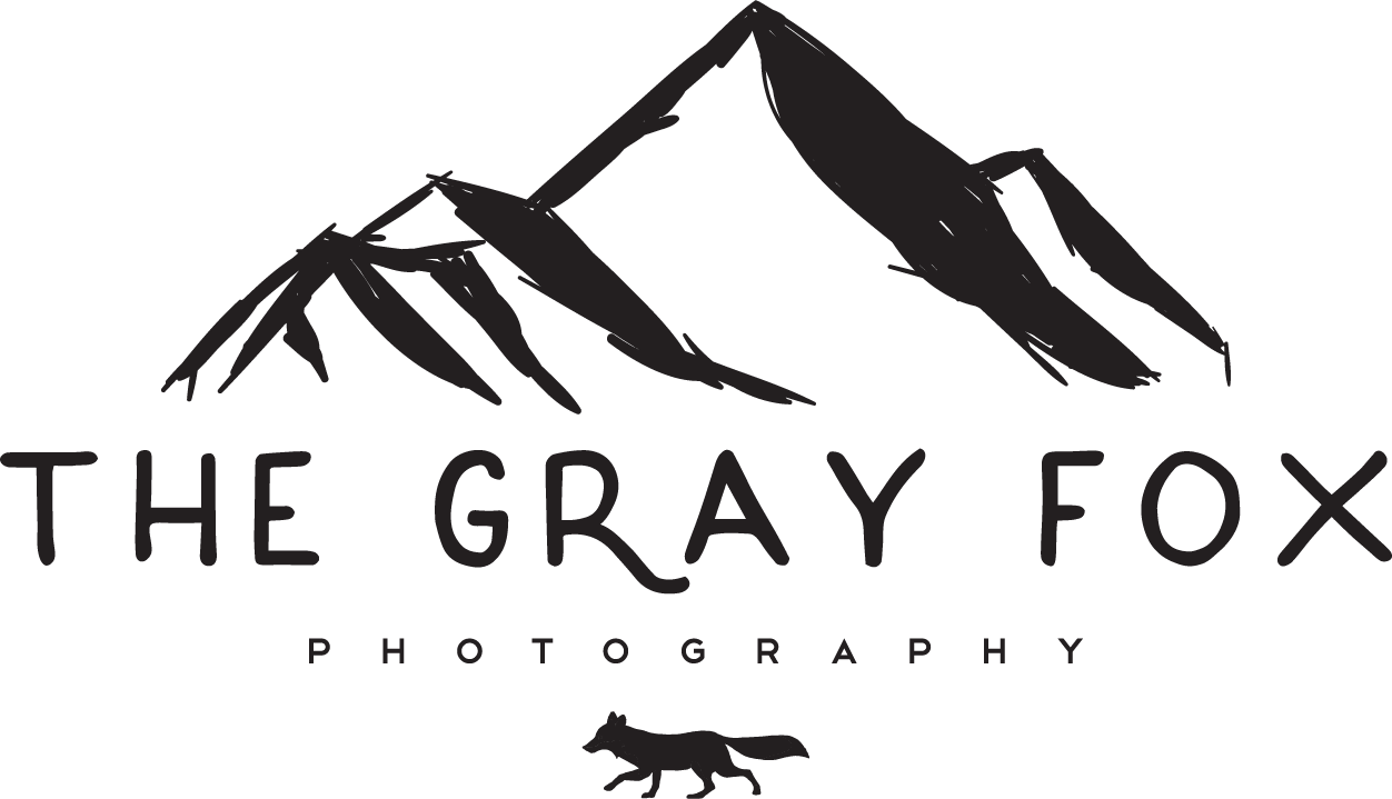 The Gray Fox Photography